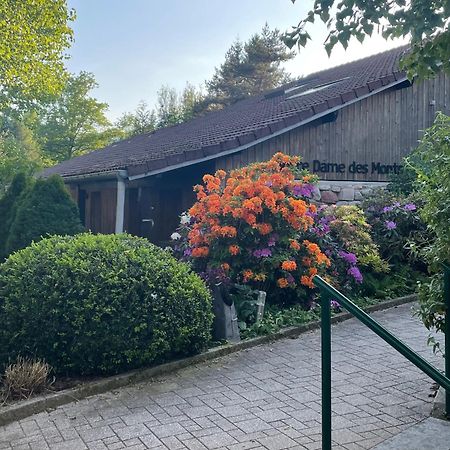 Notre Dame Des Monts Hotel Ban-sur-Meurthe-Clefcy Eksteriør billede