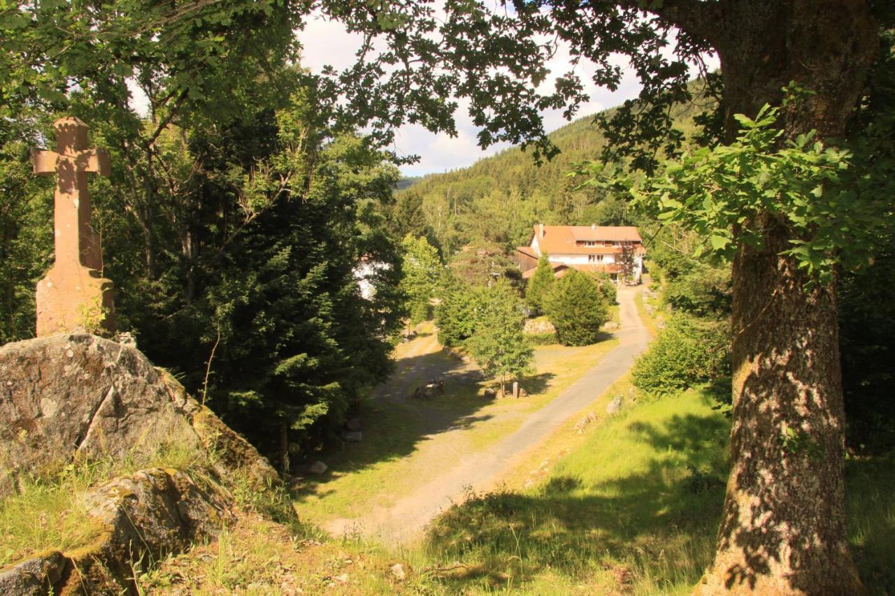 Notre Dame Des Monts Hotel Ban-sur-Meurthe-Clefcy Eksteriør billede