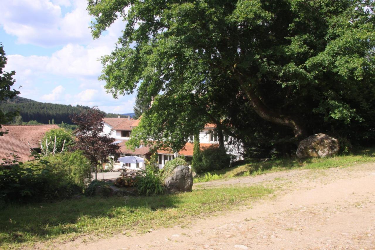 Notre Dame Des Monts Hotel Ban-sur-Meurthe-Clefcy Eksteriør billede