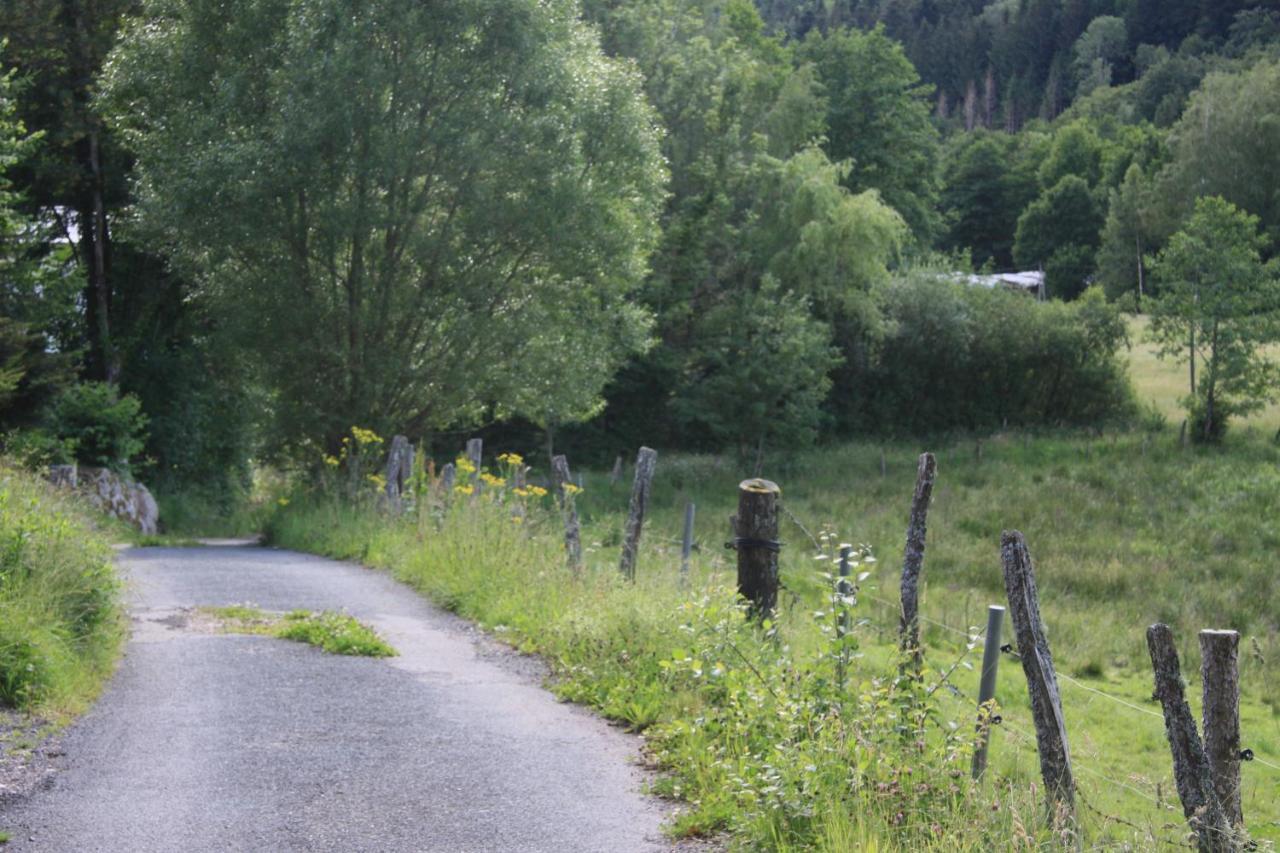 Notre Dame Des Monts Hotel Ban-sur-Meurthe-Clefcy Eksteriør billede