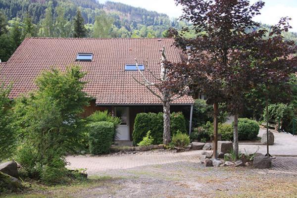Notre Dame Des Monts Hotel Ban-sur-Meurthe-Clefcy Eksteriør billede