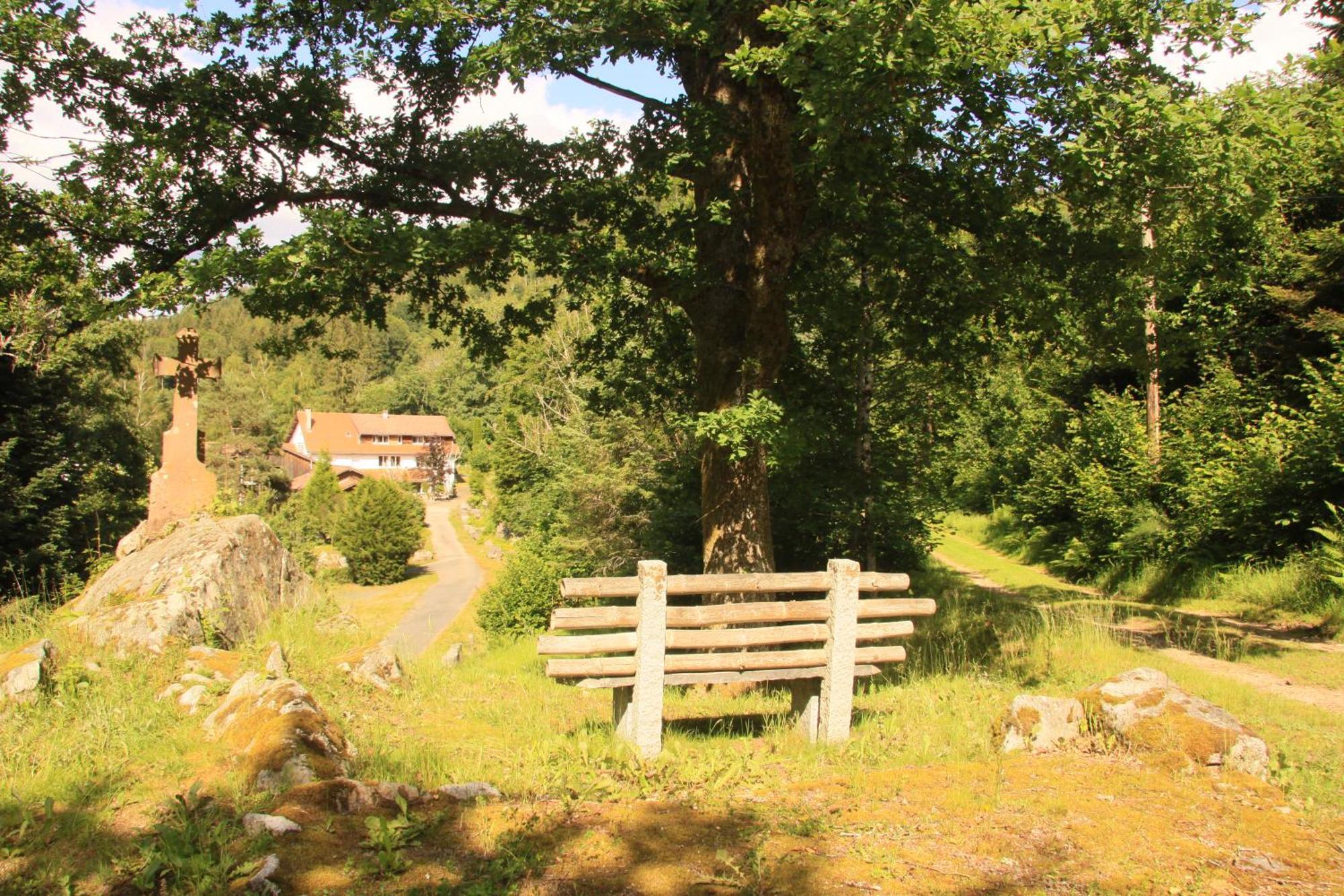 Notre Dame Des Monts Hotel Ban-sur-Meurthe-Clefcy Eksteriør billede